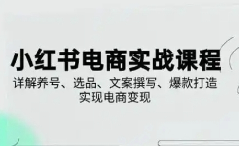 小红书从0-1实操课(2023-2025),详解养号、选品、文案撰写、爆款打造实现电商变现-老叔网创