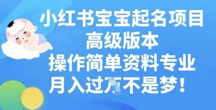 小红书宝宝起名项目高级版本，操作简单，资料专业，月入过W-老叔网创