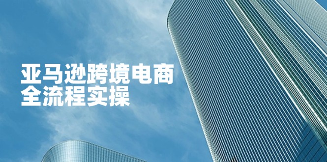 （14252期）亚马逊跨境电商全流程实操，教你从零开始，掌握店铺运营与广告技巧-老叔网创