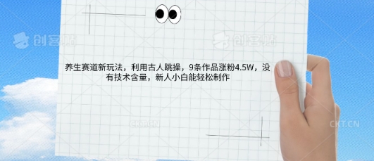 AI养生赛道新玩法，10条作品涨粉5.2W，操作简单，新人小白能轻松制作-老叔网创