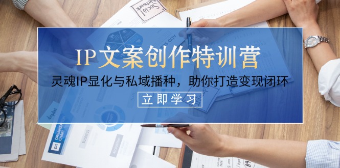 （14330期）IP文案创作特训营，灵魂IP显化与私域播种，助你打造变现闭环（14节课）-老叔网创