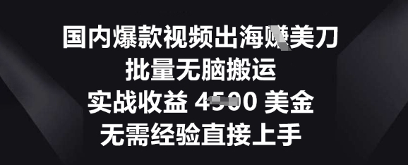 国内爆款视频出海挣美刀,批量无脑搬运,实战收益4.5k,无需经验直接上手-老叔网创