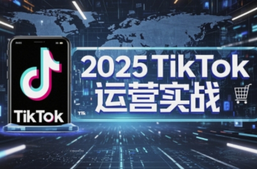 2025TikTok电商运营,掌握TikTok店铺运营核心技巧,实现低成本高转化-老叔网创