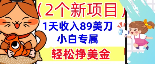 2个新项目，轻松挣美金， 1天收入89美刀，小白专属，干货分享-老叔网创