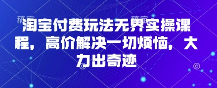 淘宝付费玩法无界实操课程,高价解决一切烦恼,大力出奇迹-老叔网创