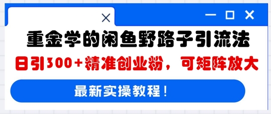 重金学的闲鱼野路子引流法,日引300+精准创业粉,可矩阵放大-老叔网创
