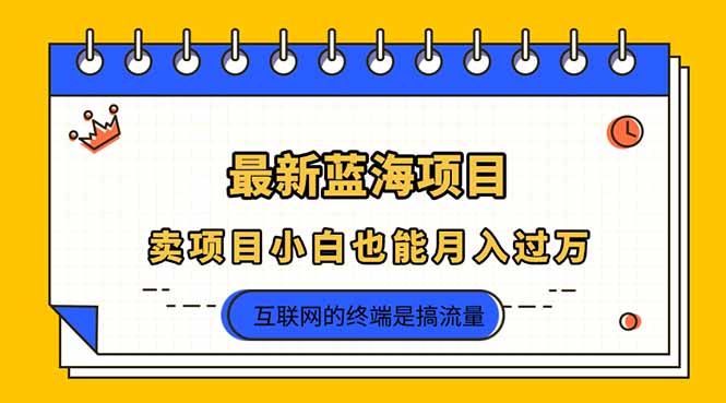 (14289期)2025年最新蓝海项目,卖项目小白也能月入过万-老叔网创