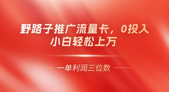 0门槛推广流量卡，一单收益上百，0投入，小白月入过W-老叔网创