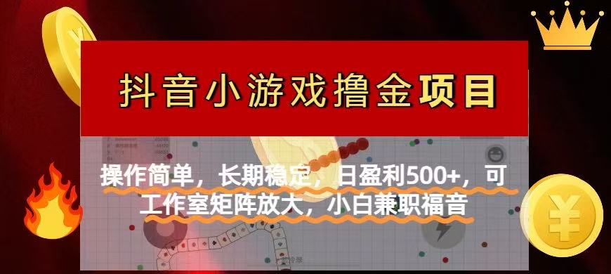 （14290期）【抖音小游戏发行人计划项目】操作简单，长期稳定，日盈利500+，可工作...-老叔网创