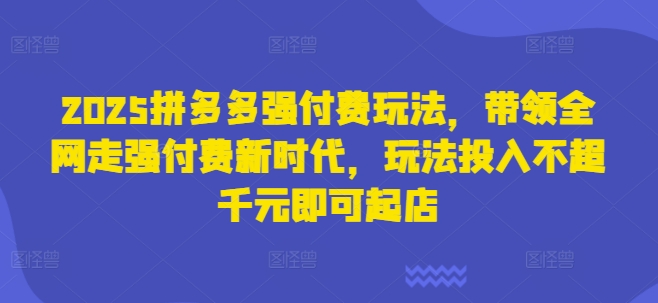 2025拼多多强付费玩法，带领全网走强付费新时代，玩法投入不超千元即可起店-老叔网创