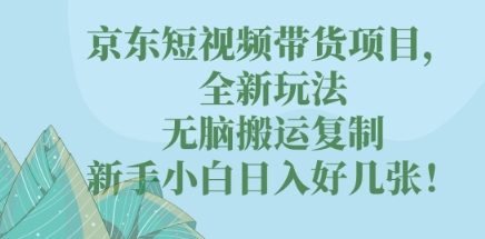 京东短视频带货项目，全新玩法，无脑搬运复制，新手小白日入好几张!-老叔网创
