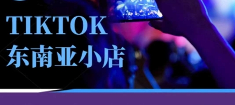 Tiktok东南亚跨境小店运营班，一门专业的TK小店运营培训课-老叔网创