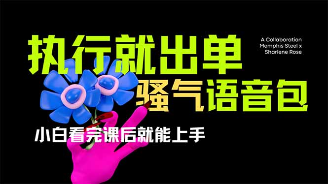 （14170期）爆火全网的开车导航骚气语音包,只要执行就出单，小白看完课程就能实操...-老叔网创