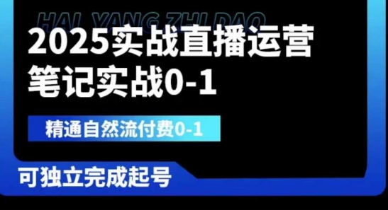 2025实战直播运营0-1，精通自然流付费0-1，可独立完成起号-老叔网创