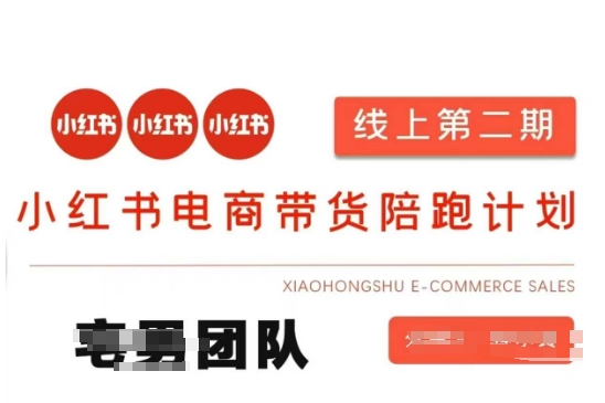 小红书电商带货课2期，月利润20个的小红书电商的有货源，无货源，虚拟产品，付费投流等整套玩法-老叔网创