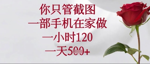 你只管截图,一部手机在家操作,一小时120.一天5张【揭秘】-老叔网创