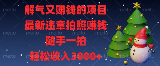 解气又挣钱的项目，最新违章拍照挣钱，随手一拍，轻松收入数张【揭秘】-老叔网创